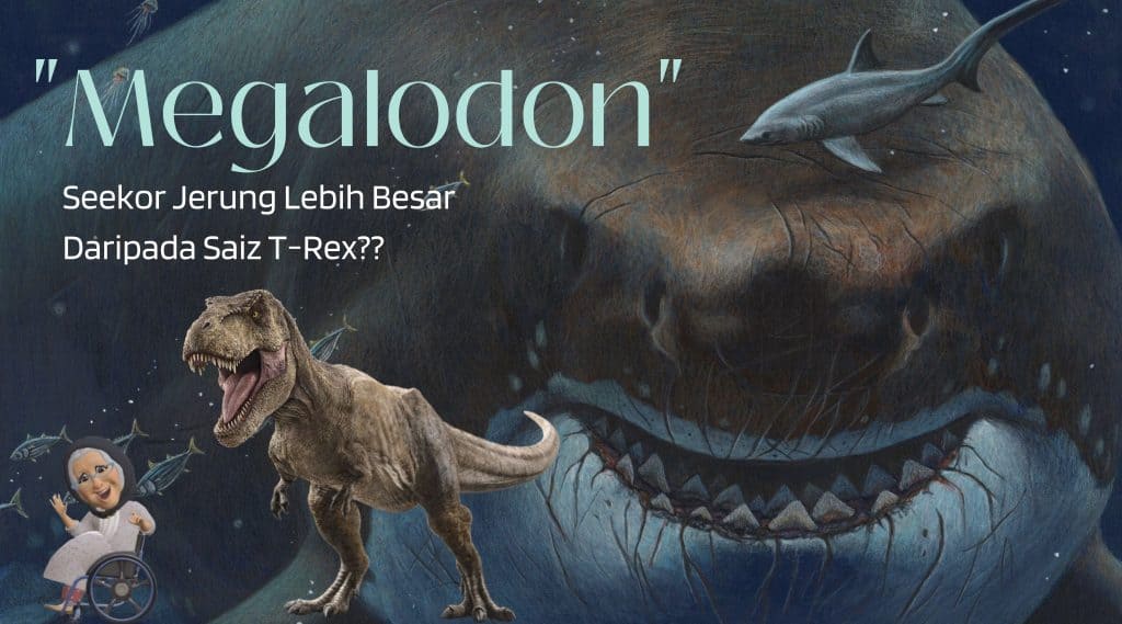 “Megalodon – Jerung Lebih Besar Daripada Saiz T-Rex?”