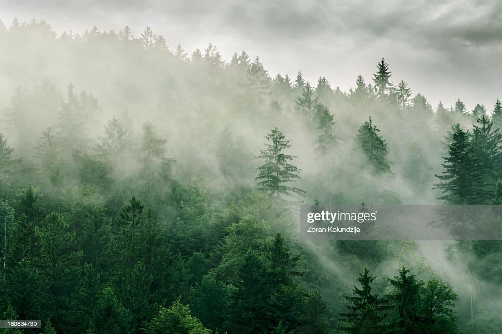 SciShow: The Climate-Controlling Properties of Trees