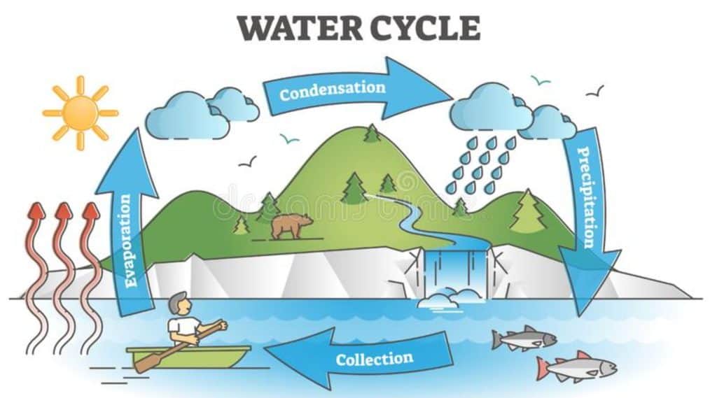 The Water Cycle 101: A Beginner’s Guide for Primary School Students