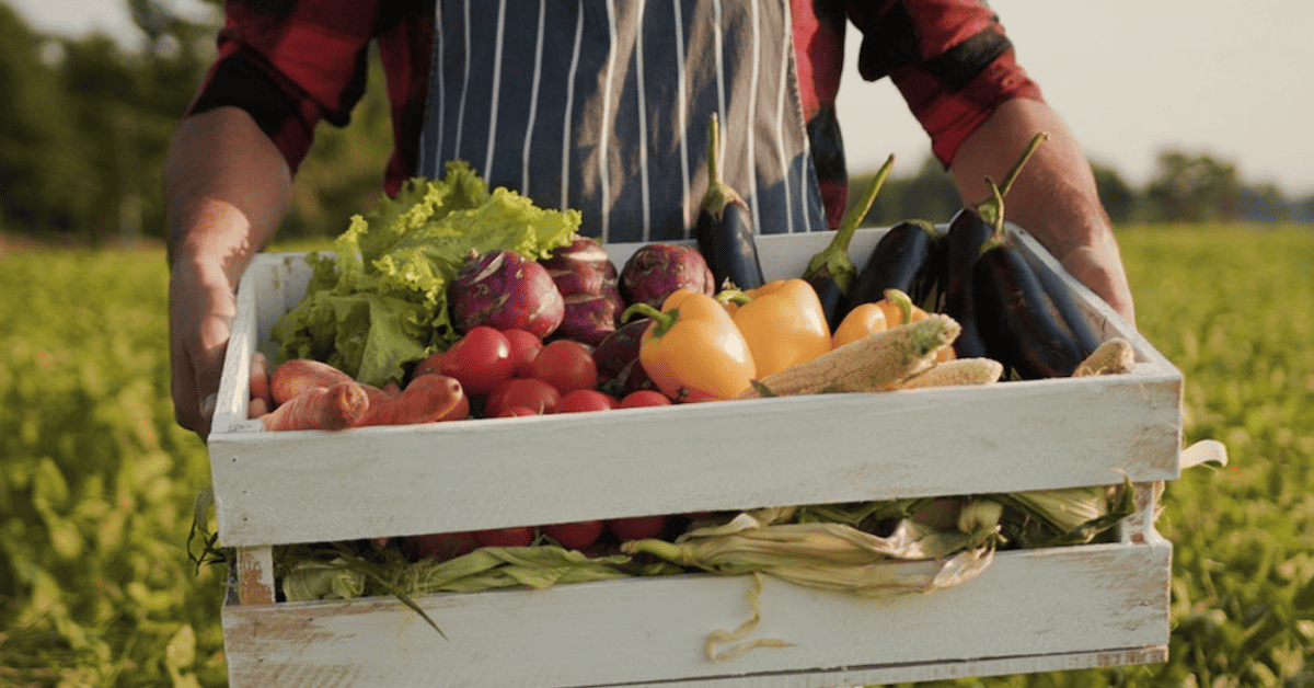 Busting Myths: Is Organic Food Actually Healthier?