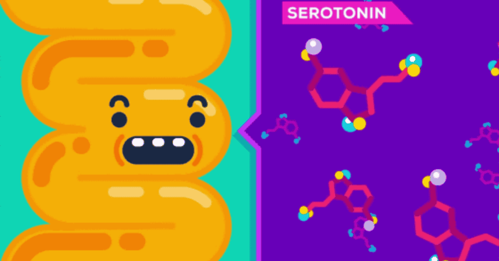 The-Mind-Boggling-Mind-Gut-Connection