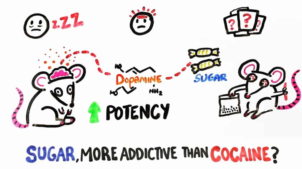 What Happens When You Cut Out Sugar?