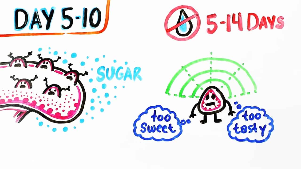 What Happens When You Cut Out Sugar?